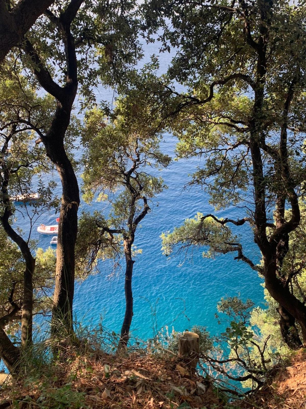 Sea View Apartment With Private Garden Camogli Luaran gambar